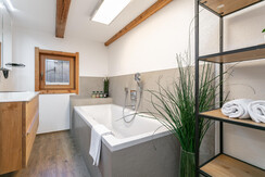 NSTE-Alpbach44-Alpbach-Kastl1-9