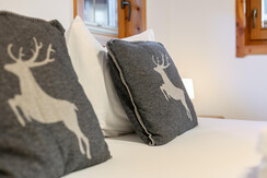 NSTE-Alpbach44-Alpbach-Kastl1-12