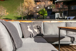 NSTE-Alpbach44-Alpbach-ext-15