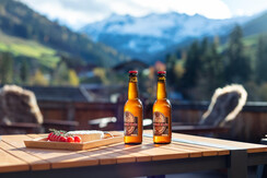 NSTE-Alpbach44-Alpbach-ext-17