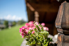 Landhaus_Alpbach_05_09_2023_Appartement_3_Balkon_D