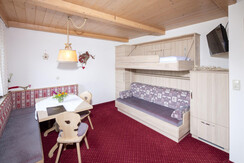 Alpbachtal-Appartement_Wohnraum-Couch-1-Bett_Landh
