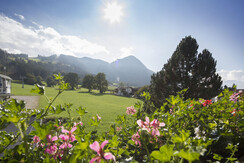 Tirol-Appartement_Ausblick-Reither-Kogel_Sueden_La