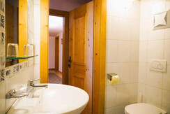 Lederers Zuhaus Appartement Hösl (Top 1) - Badezimmer 2