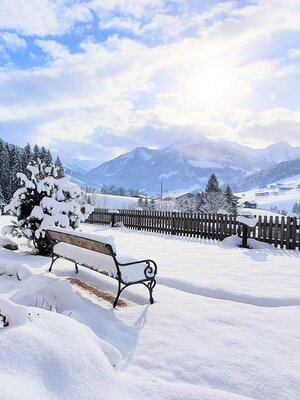 Alpbacherhof Winter im Garten mit herrlichem Ausbl