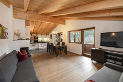 natural__deluxe_apartment_alpbach_k_che