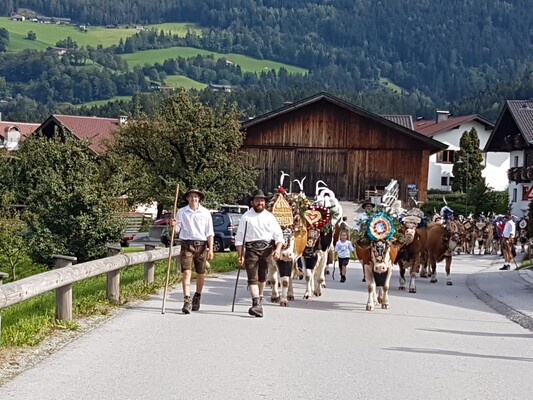 Almabtrieb Reith i.A. | © Familie Larch