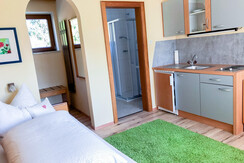 appartement_alpbachtal_tirol_reithimalpbachtal