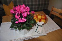 ferienwohnung_reith_alpbachtal_tirol