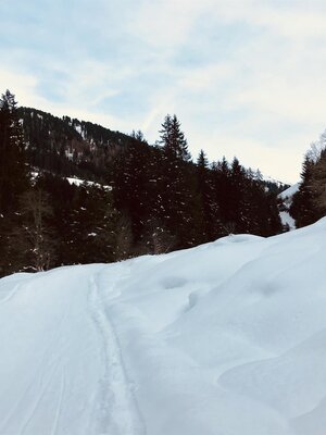 Spuren im Schnee | © Martin Reiter
