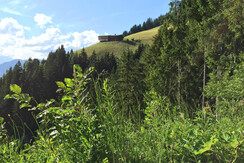 Alpbach Unterkünfte