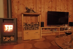 Living room fireplace and TV